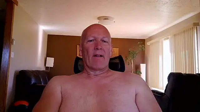 Snapshot of BasicAnt chatting on June 1, 2026, 2:52 pm BasicAnt online show from June 1, 2026, 2:52 pm