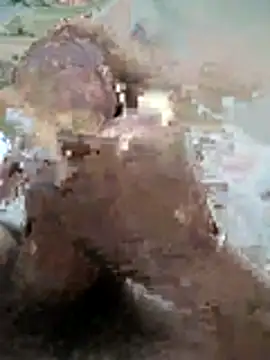 naghmi12 online show from November 11, 2025, 6:08 pm