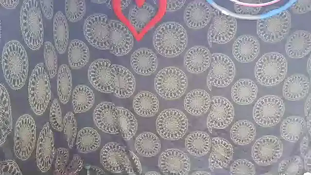 LunaRai online show from February 6, 2026, 3:11 am