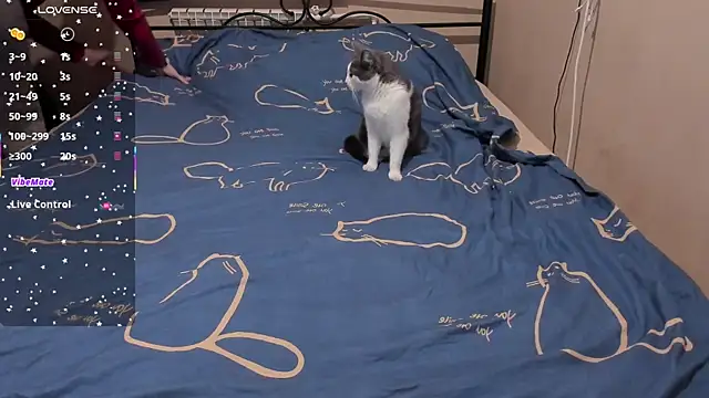 eva zero online show from March 3, 2026, 2:01 pm