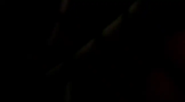 Samuel Suarez online show from December 16, 2024, 7:32 pm