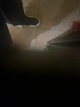 Snapshot of dingoding chatting on January 8, 2025, 4:44 am dingoding online show from January 8, 2025, 4:44 am