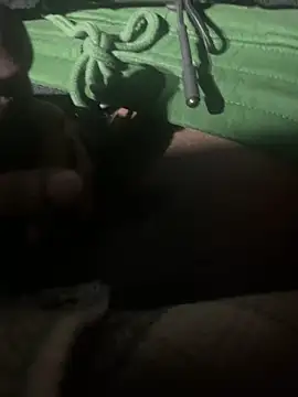 Snapshot of dingoding chatting on January 11, 2025, 11:34 am dingoding online show from January 11, 2025, 11:34 am