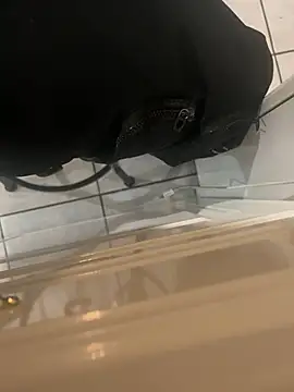 Snapshot of dingoding chatting on January 24, 2025, 8:13 am dingoding online show from January 24, 2025, 8:13 am