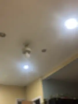 Snapshot of dingoding chatting on February 7, 2025, 10:40 am dingoding online show from February 7, 2025, 10:40 am