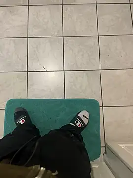 Snapshot of dingoding chatting on February 10, 2025, 2:30 am dingoding online show from February 10, 2025, 2:30 am