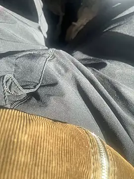 Snapshot of dingoding chatting on February 10, 2025, 3:10 pm dingoding online show from February 10, 2025, 3:10 pm