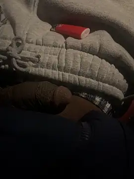 Snapshot of dingoding chatting on February 22, 2025, 1:44 am dingoding online show from February 22, 2025, 1:44 am