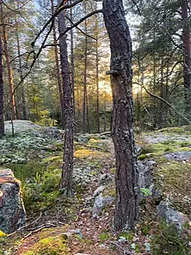 Andreashow online show from October 19, 2025, 2:29 pm