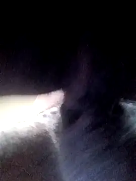 yellowwetfox online show from March 21, 2026, 1:37 pm