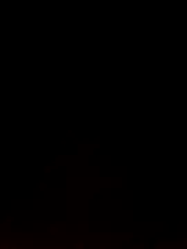 Like african online show from February 9, 2026, 4:33 pm