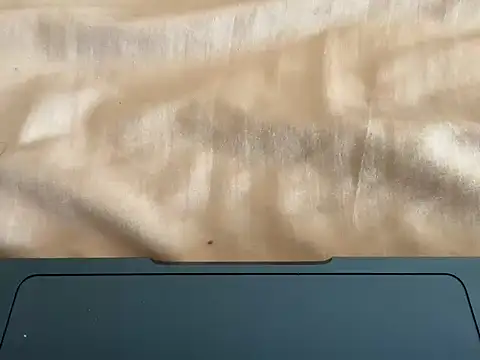 rohitsen222 online show from January 10, 2026, 8:38 am