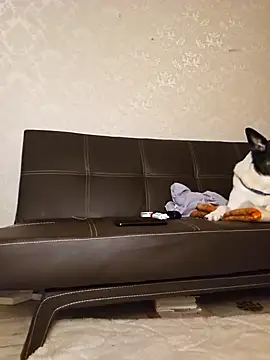 Snapshot of Marushka chatting on December 21, 2024, 6:12 pm Marushka online show from December 21, 2024, 6:12 pm