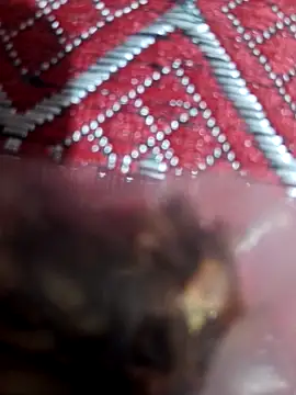 XBHUUME online show from February 1, 2025, 10:15 am