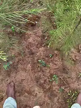 Gopal1243 online show from December 9, 2024, 3:29 am