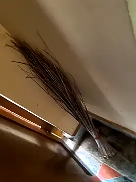 Gopal1243 online show from January 21, 2025, 3:37 am