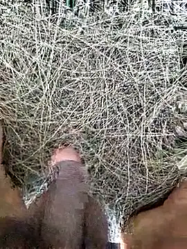 Gopal1243 online show from February 19, 2026, 8:10 am