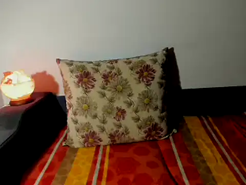 Snapshot of AliceisHome chatting on December 4, 2024, 5:16 am AliceisHome online show from December 4, 2024, 5:16 am