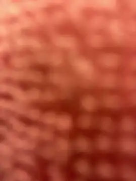 Snapshot of BigFineSelena chatting on January 11, 2025, 3:09 pm BigFineSelena online show from January 11, 2025, 3:09 pm