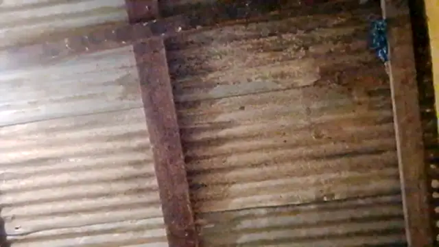 LULE37587001 online show from February 20, 2026, 11:05 pm