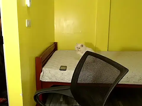 Snapshot of xx_goddessofallgodess_xx chatting on October 2, 2025, 2:51 am xx goddessofallgodess xx online show from October 2, 2025, 2:51 am