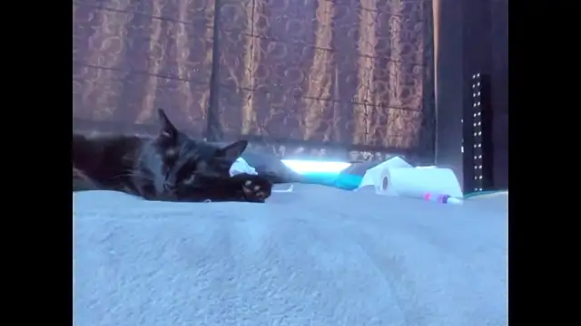 amareto queen online show from March 25, 2026, 7:53 pm