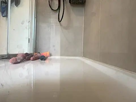 angelus112 online show from March 29, 2026, 3:56 pm