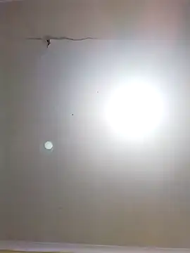 DangerousSafari online show from November 3, 2025, 2:29 pm