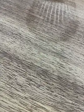 bulpof online show from April 1, 2026, 5:32 pm