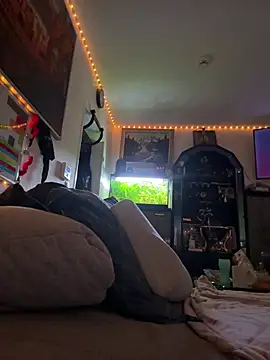 Snapshot of Toyjungee chatting on February 3, 2026, 8:08 am Toyjungee online show from February 3, 2026, 8:08 am