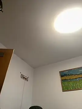 Snapshot of Toyjungee chatting on February 13, 2026, 11:06 am Toyjungee online show from February 13, 2026, 11:06 am