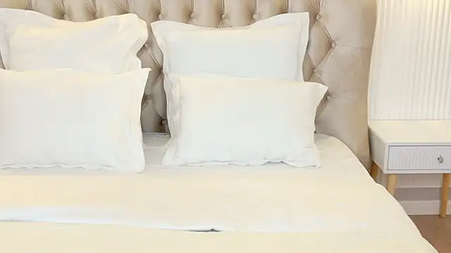 Snapshot of LilyRaisa chatting on March 15, 2025, 4:57 am LilyRaisa online show from March 15, 2025, 4:57 am