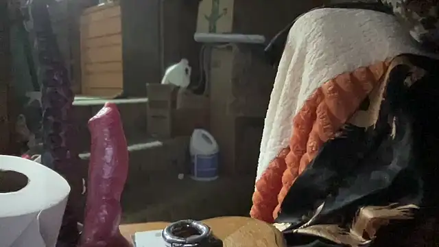 Snapshot of 44jon44 chatting on November 26, 2025, 3:40 am 44jon44 online show from November 26, 2025, 3:40 am