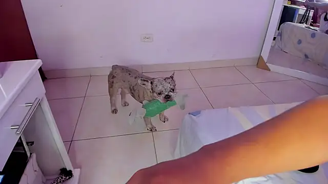 Snapshot of SophiieWilson_ chatting on October 27, 2025, 3:43 am SophiieWilson online show from October 27, 2025, 3:43 am