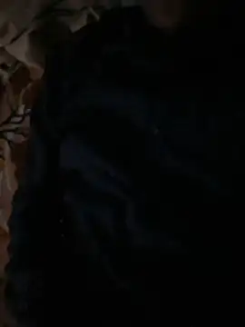 Snapshot of Itsdesi_boy chatting on November 9, 2025, 12:14 pm Itsdesi boy online show from November 9, 2025, 12:14 pm