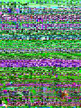 versetopcouple online show from October 29, 2025, 4:09 pm