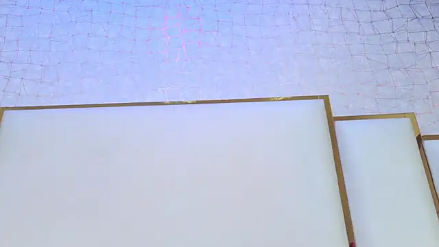 paola rodriguez online show from July 28, 2026, 11:39 am