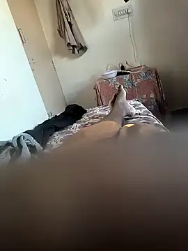 Snapshot of Mallupaiyanaachu chatting on February 5, 2025, 2:08 am Mallupaiyanaachu online show from February 5, 2025, 2:08 am