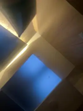 Snapshot of CeliWoods chatting on February 6, 2026, 11:13 am CeliWoods online show from February 6, 2026, 11:13 am