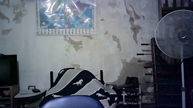 Snapshot of Emv2 chatting on November 26, 2025, 4:57 am Emv2 online show from November 26, 2025, 4:57 am