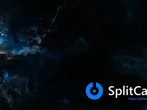 Elkafit28 online show from February 8, 2026, 6:55 pm