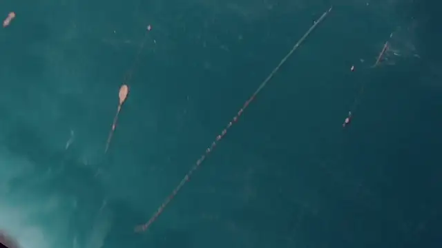 CharlotteBigCock online show from January 12, 2025, 3:25 pm