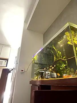 Ravixx online show from January 11, 2026, 2:11 pm