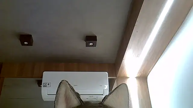 Skinny-Kitten online show from September 20, 2025, 2:45 am