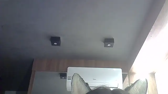 Skinny-Kitten online show from February 22, 2026, 2:45 am