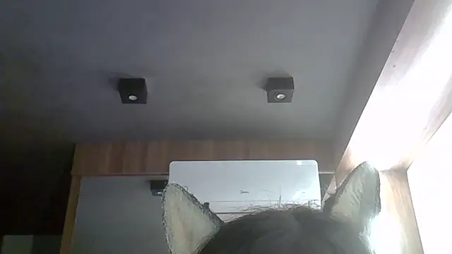 Skinny-Kitten online show from March 17, 2026, 12:15 am