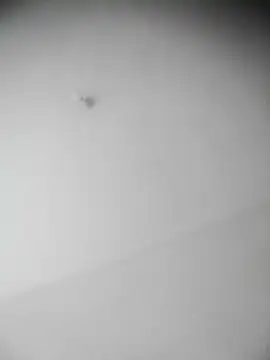 Snapshot of bestofyalcinturkey chatting on December 3, 2024, 12:49 pm bestofyalcinturkey online show from December 3, 2024, 12:49 pm