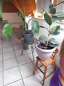 Isabellaa04 online show from May 17, 2026, 11:17 am