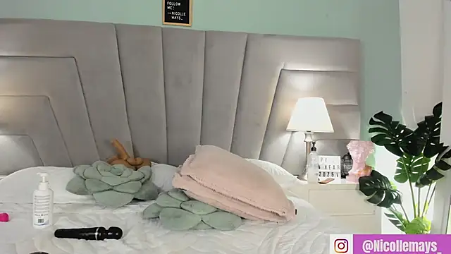 Snapshot of Nicollemays chatting on February 1, 2025, 12:18 am Nicollemays online show from February 1, 2025, 12:18 am