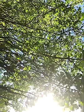 Snapshot of hottottrot691 chatting on September 28, 2025, 9:09 pm hottottrot691 online show from September 28, 2025, 9:09 pm